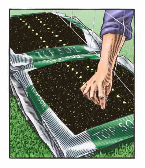 
Reader Rose Bryan and the Adams Public Library in Indiana used bags of top soil to provide a garden for their summer cooking class for local children.

